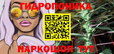 мдпв Рыбинск
