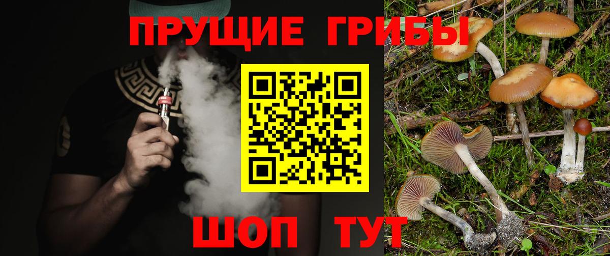 Галлюциногенные грибы ЛСД Петрозаводск